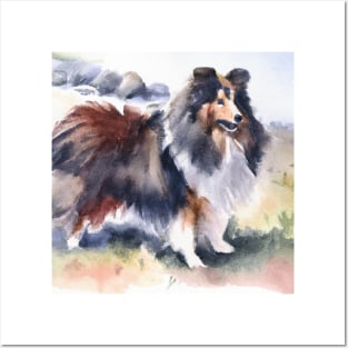 Shetland Sheepdog Watercolor Painting - Dog Lover Gifts Posters and Art